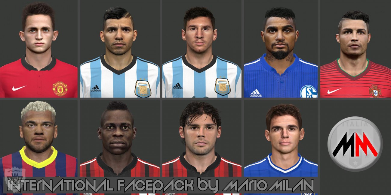PES 2014 International Facepack