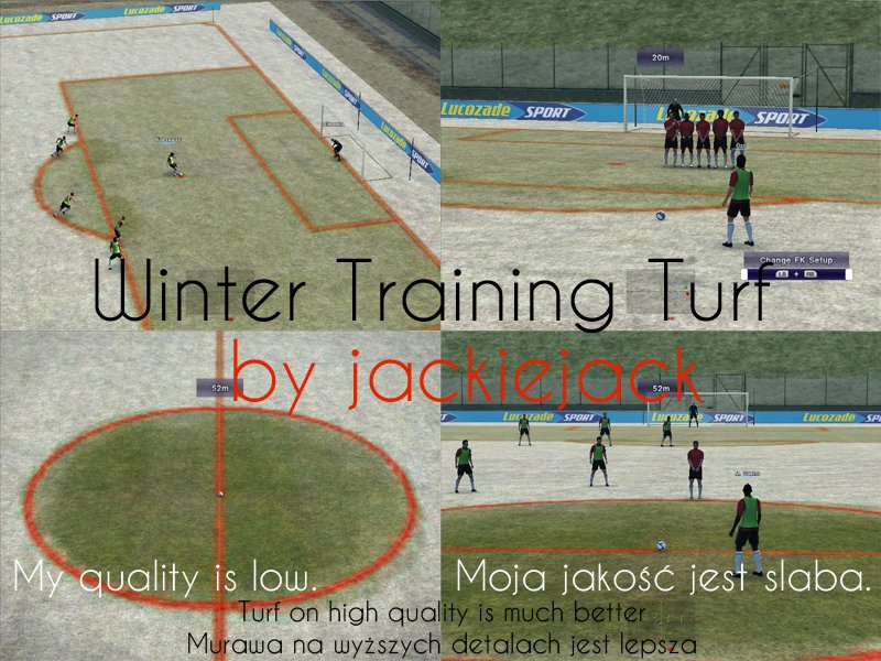 Winter Training Turf by jackiejack
