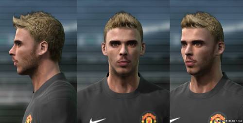 David de Gea Face