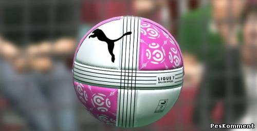 Puma Ligue 1 Balls