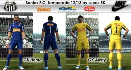 Santos F.C. Temporada 12/13