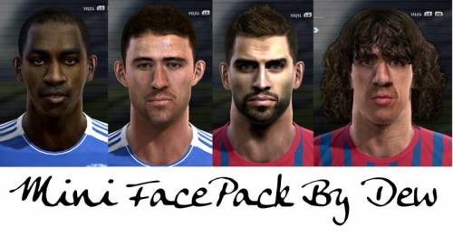 Mini Facepack