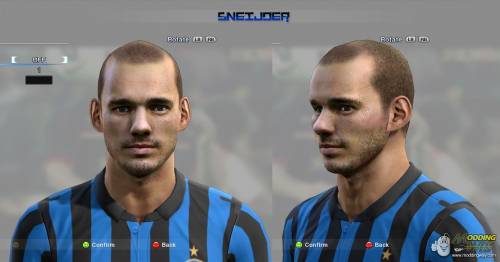 Sneijder Face
