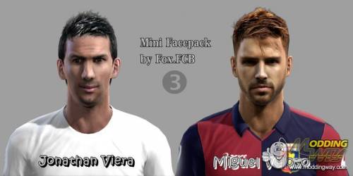 Mini Facepack vol3