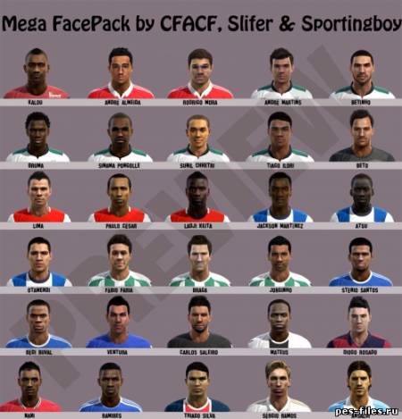 Mega Facepack