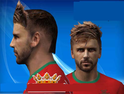 Miguel Veloso HD