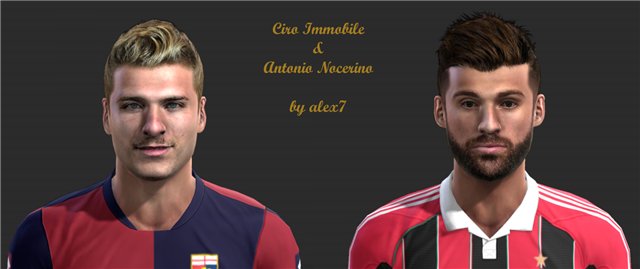 Immobile & Nocerino Faces