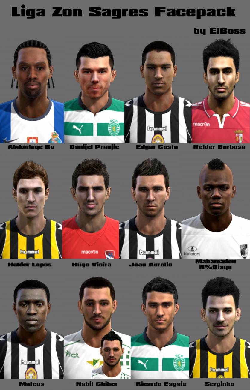 Liga Zon Sagres Facepack 2013