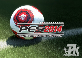 Официальный мяч и 3D трава PES 2014