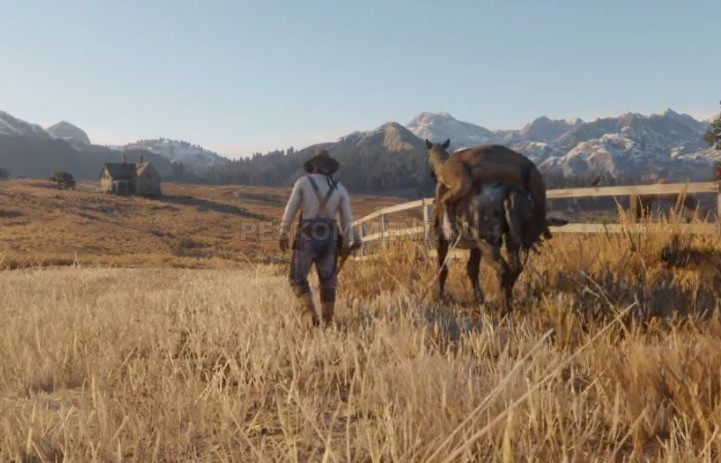 Red Dead Redemption 2: партнерство между Rockstar Games и PlayStation