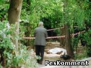 Группа кавказцев убила девушку